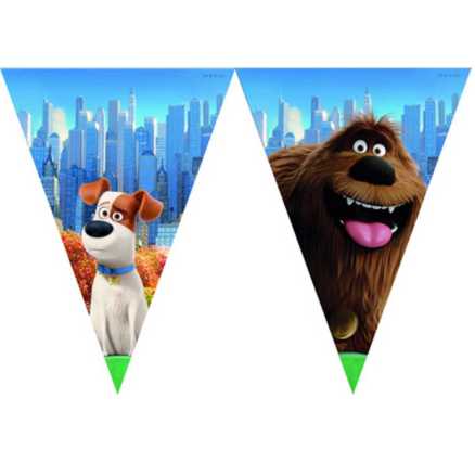 FESTONE BANDIERINE SECRET LIFE