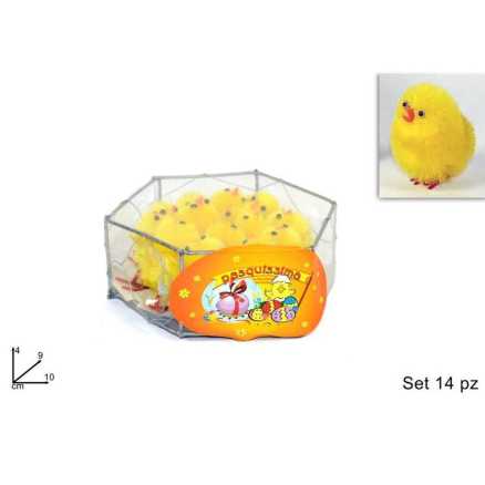 GABBIETTA 14 PULCINI