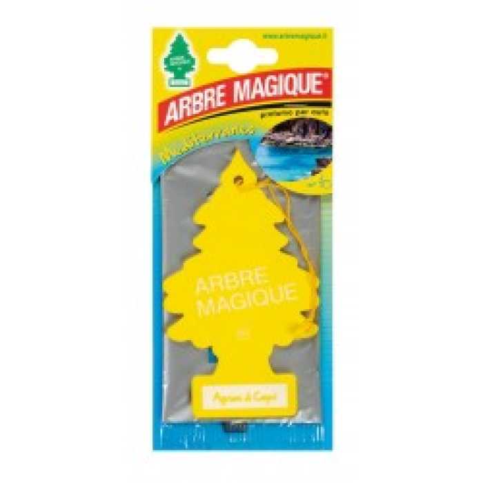 ARBRE MAGIQUE AGRUMI DI CAPRI