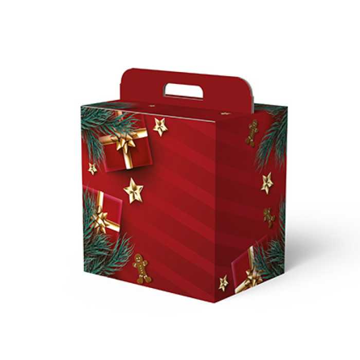 CARTONE HOLLY SPIRTIT 32X22X22
