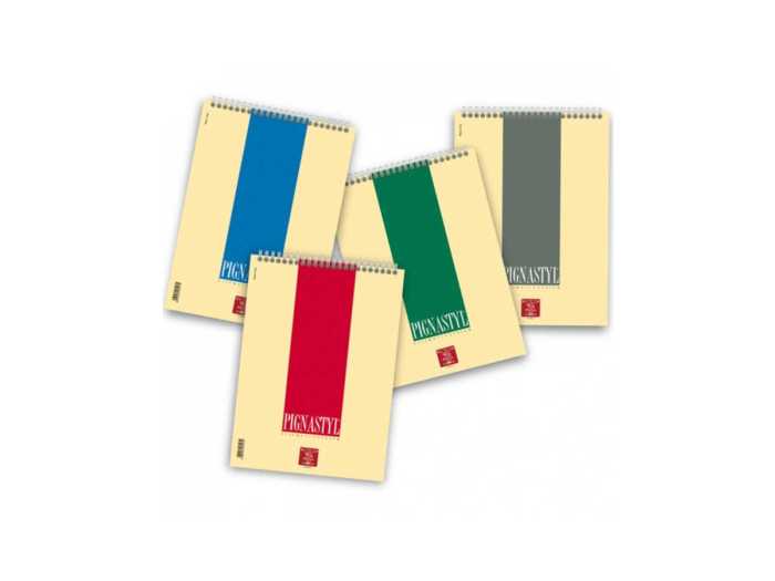 NOTES SPIRALE 8*12 PIGNA 80GR