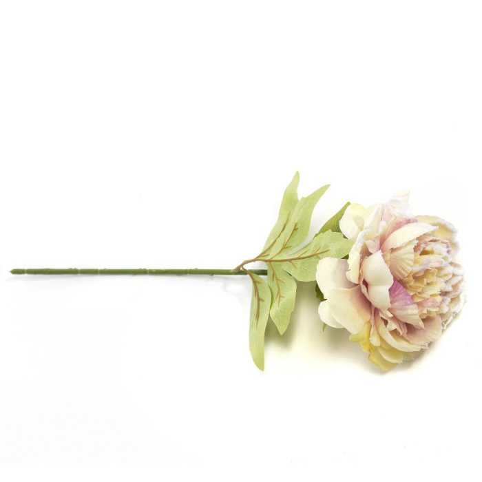 PEONIA CREMA INNEVATA 50CM