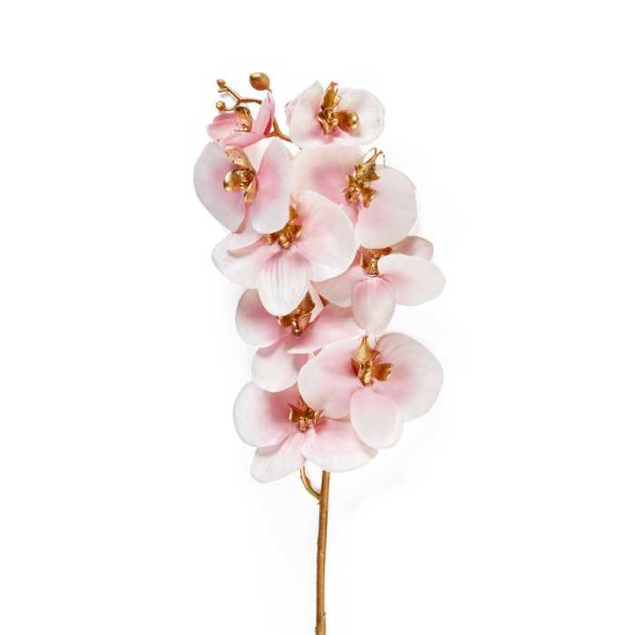 RAMO DI ORCHIDEA ROSA D17XH89