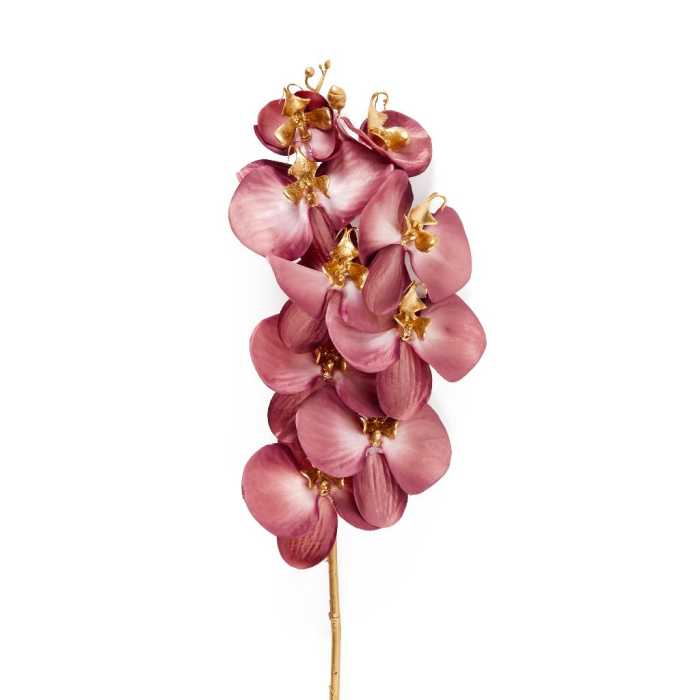 RAMO DI ORCHIDEA VIOLA D14XH89