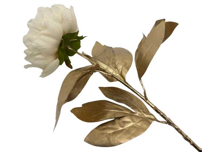 PEONIA AVORIO H76CM