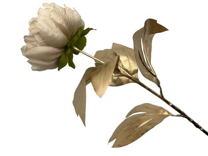 PEONIA ROSA A.H76CM