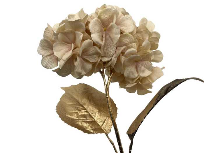 ORTENSIA ROSA A.DORATO H65CM