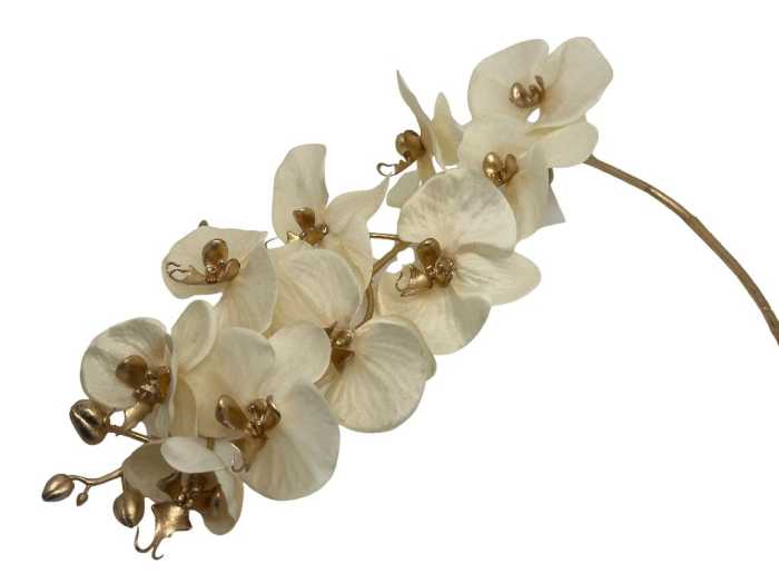 ORCHIDEA 10FIORI AVORIO H120CM