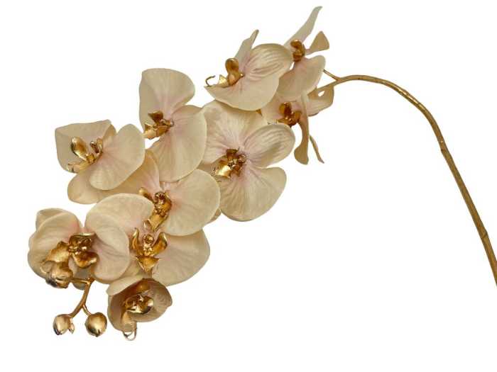 ORCHIDEA 10FIORI ROSA A.H120CM