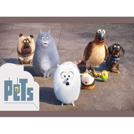 PETS
